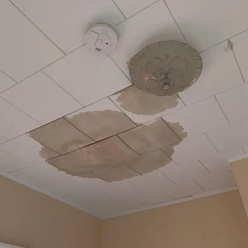 Ceiling Water Damage Repair in Northampton County, PA